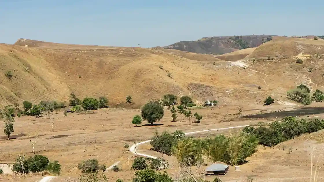 Sumba Private Trip Comparison & Alternatives