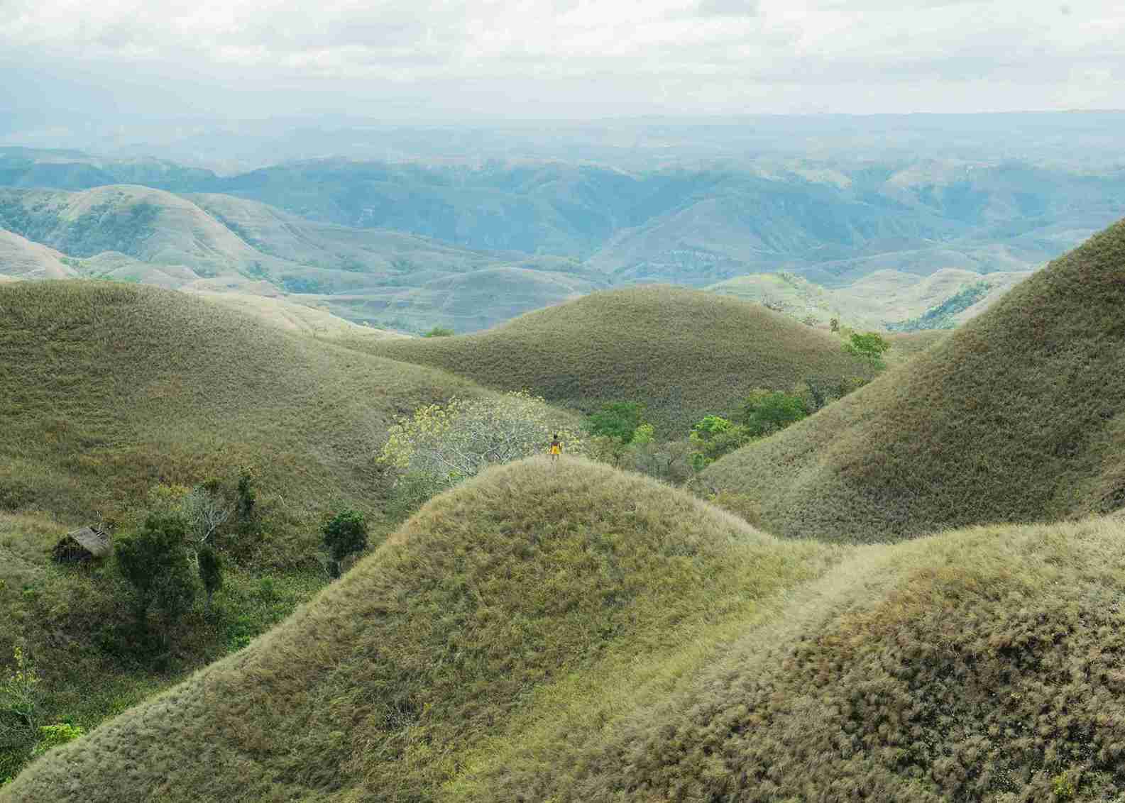 Sumba Private Trips: Comparing Our Service with Competitors
