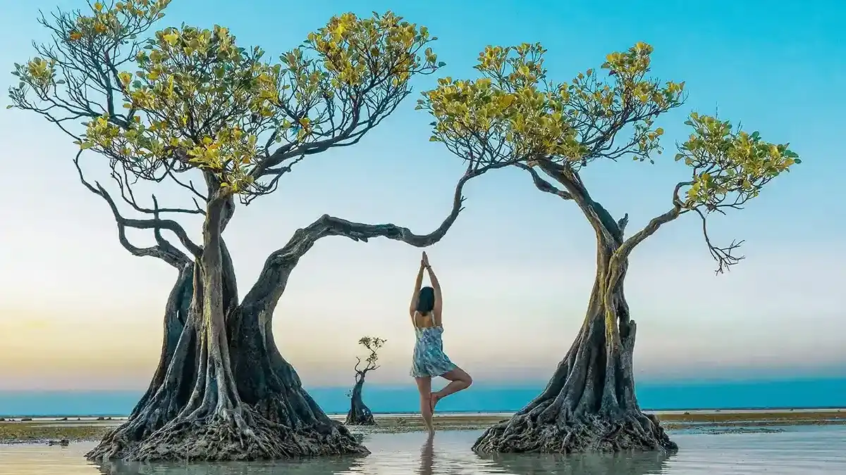 Sumba’s Best Private Resorts with Infinity Pools for 2027